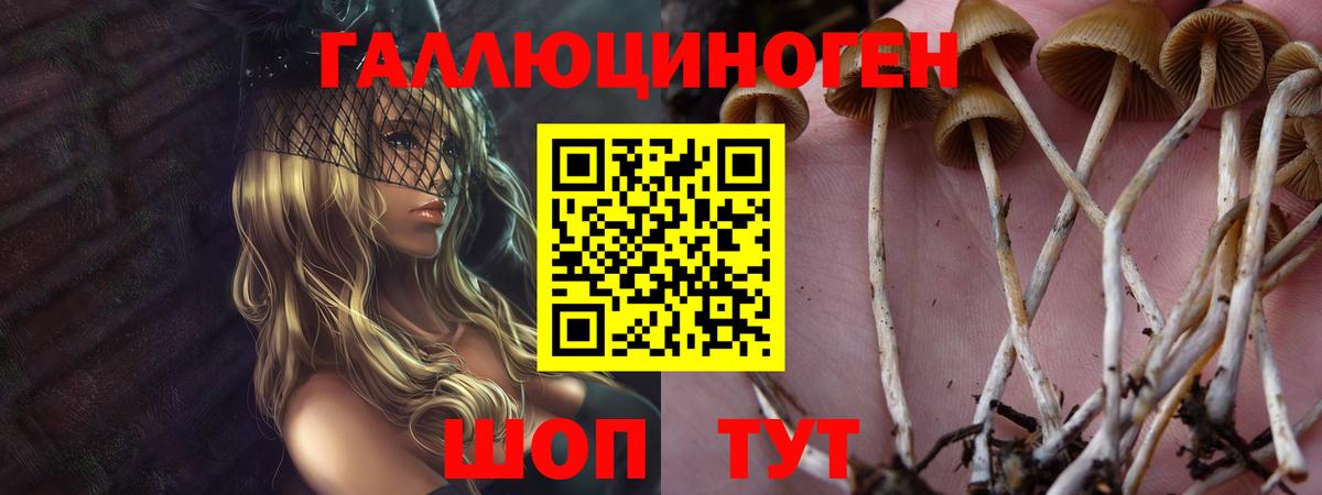 Псилоцибиновые грибы Magic Shrooms Гагарин