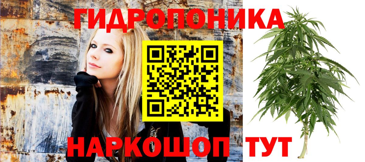 Бошки Шишки сатива  Каннабис VHQ  Вход с VPN  Гагарин 